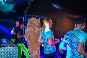 ZOMAARPOP FESTIVAL 2019 | DAG 2